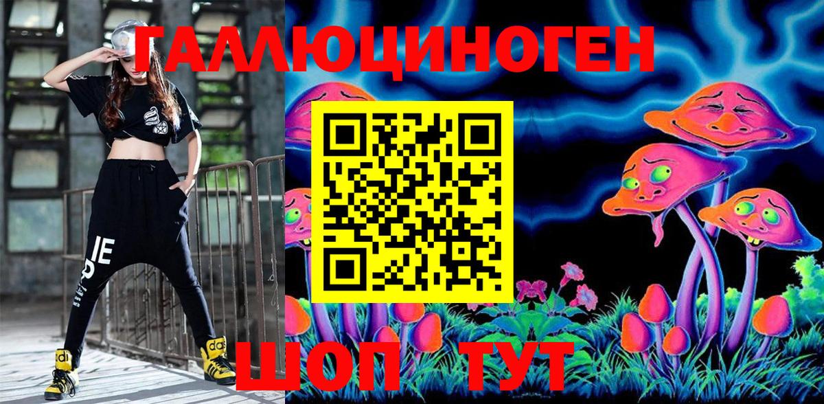 Галлюциногенные грибы Cubensis  Вход с VPN  Бердск 